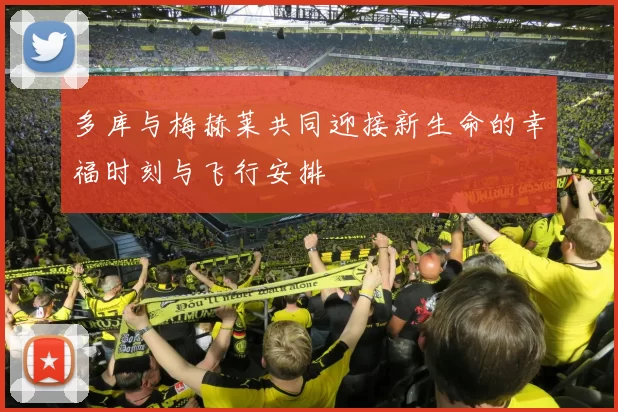 多库与梅赫莱共同迎接新生命的幸福时刻与飞行安排
